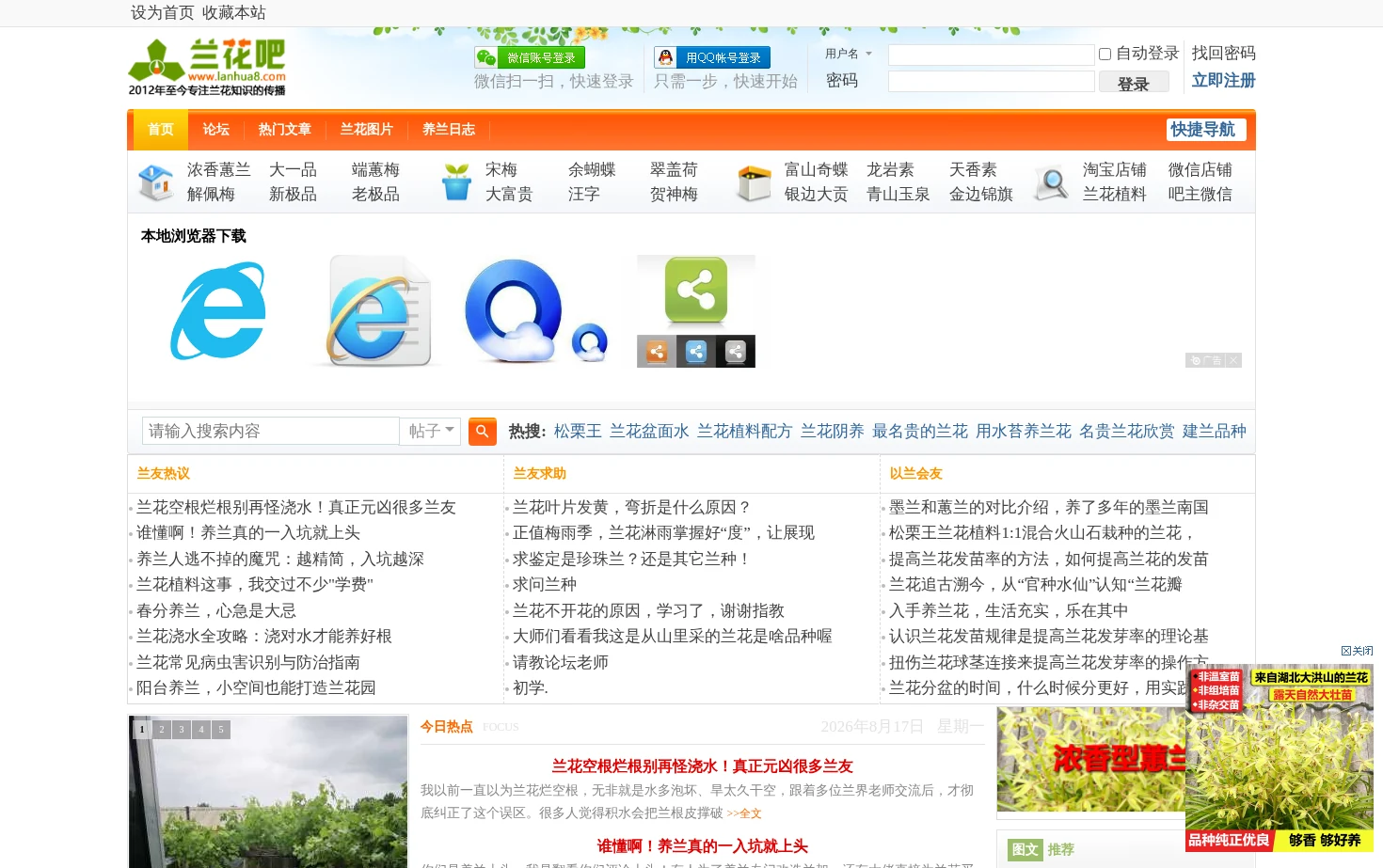 兰花吧 页面快照